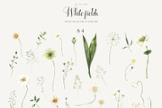 White Fields wildflowers flora, an Education Illustration by LiChu Art (Thumbnail 12 of 12)