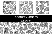 Anatomy Organs Line Art, a Texture Graphic by InkyQueenArt (Thumbnail 1 of 4)
