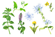 Watercolor floral set, an Illustration by Watercolor & sketches (Thumbnail 5 of 7)