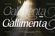 Amilent | 36 Style Font, a Serif Font by IM Studio (Thumbnail 9 of 13)