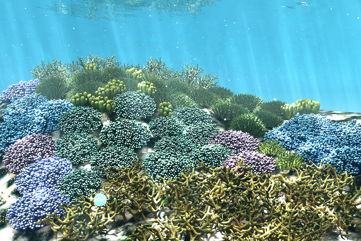 3D Cartoon Underwater Coral Reef Hab, an Environmental 3D Model by NOMODOL (Photo 8 of 24)
