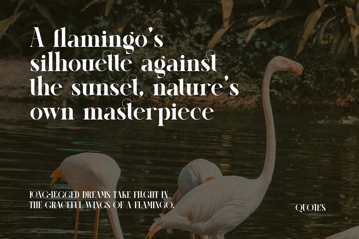 Cellgin Elegant Ligature Serif Font, a Serif Font by Perfectype (Photo 5 of 6)