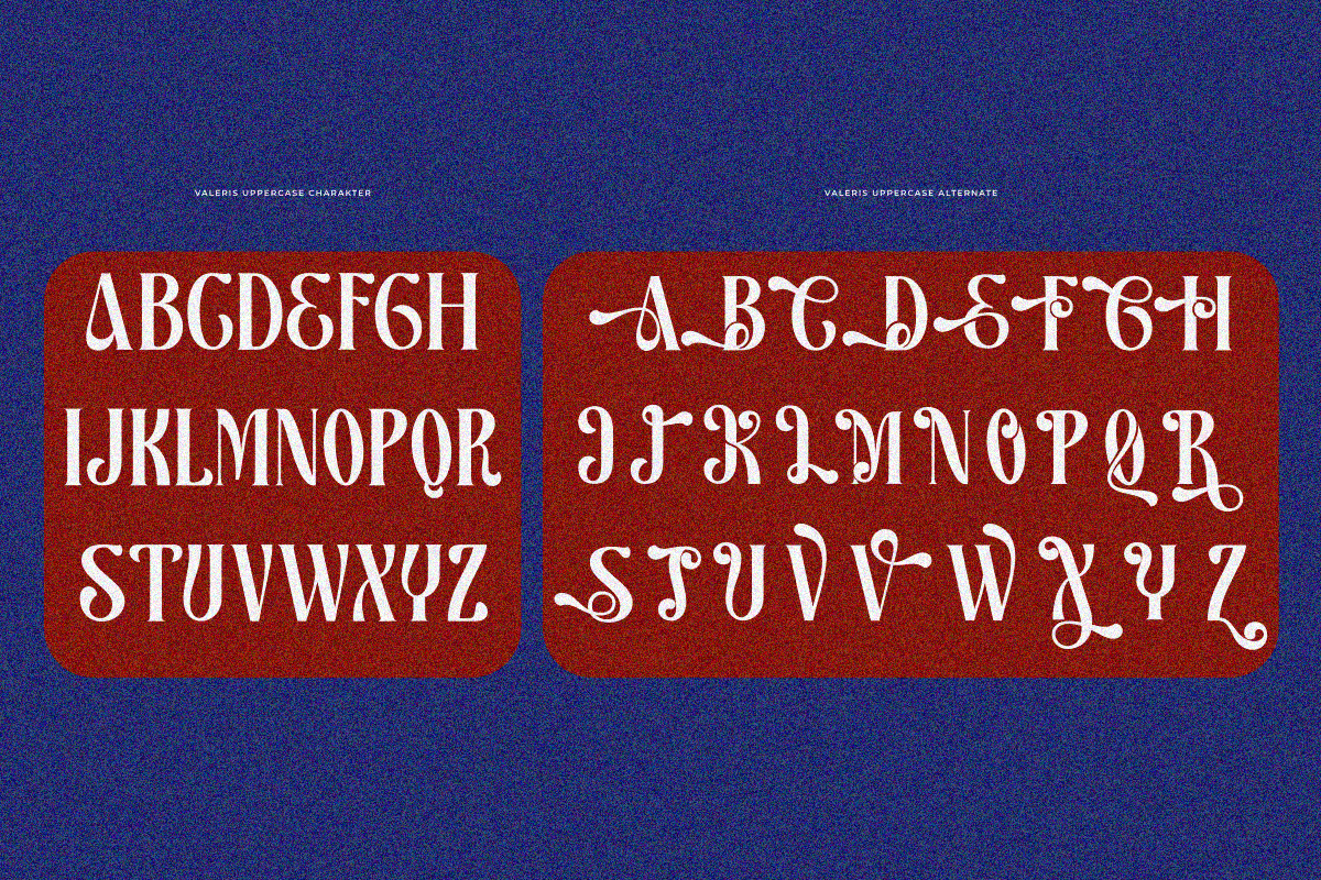 Valeris, a Serif Font by zaaintype (Photo 7 of 11)