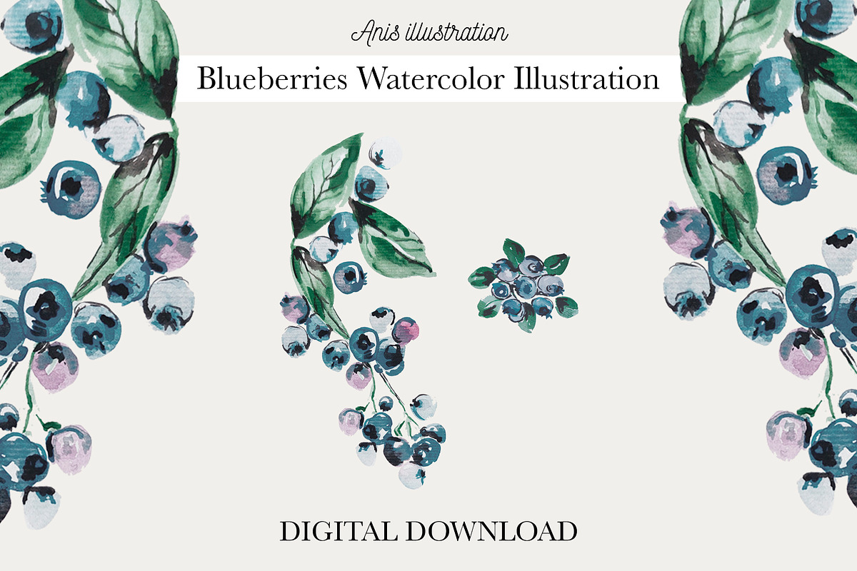 Blueberries Watercolor Illustration, an Object Graphic by Anis Illustration (Photo 1 of 2)