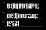 Reggie - Condensed Display Font, a Sans Serif Font by Typeparties (Thumbnail 8 of 8)