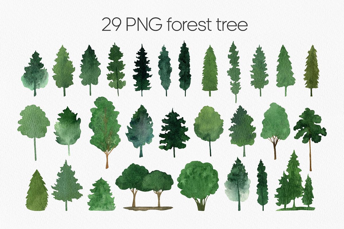 Green forest and mountain bundle PNG, an Illustration by Anntre (Photo 5 of 8)