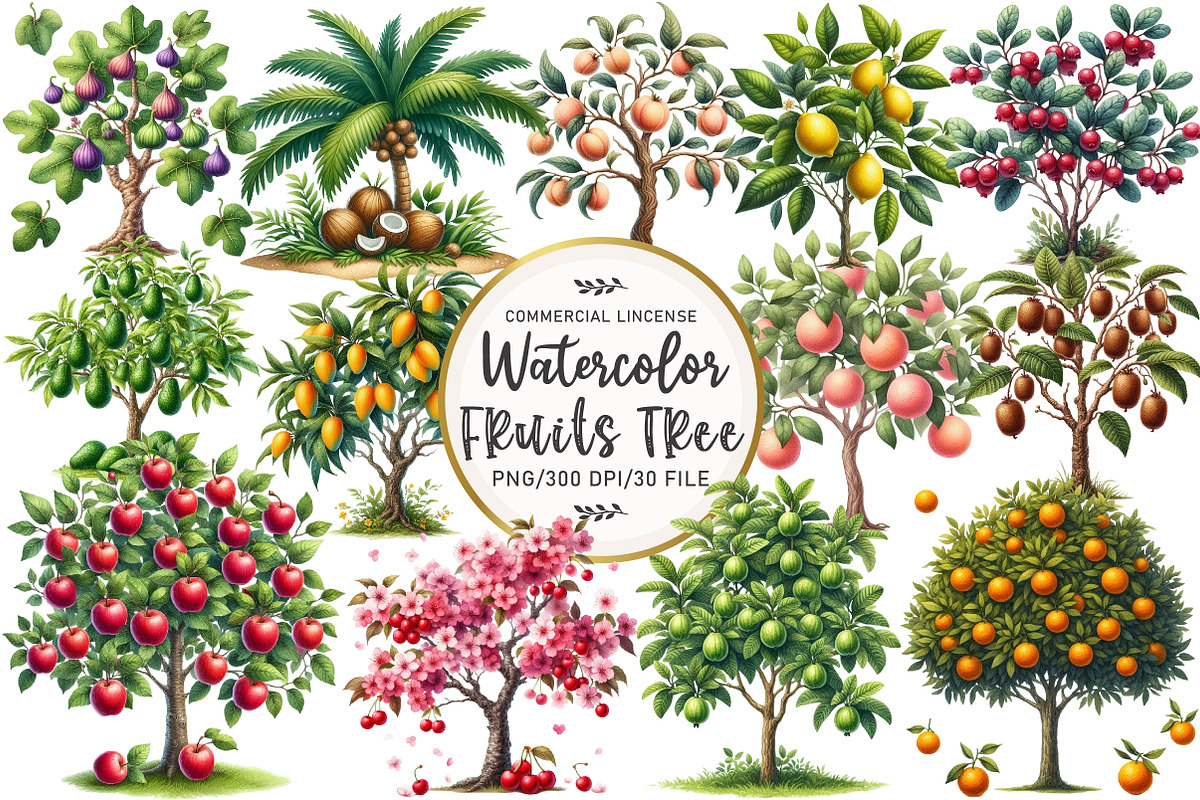 Watercolor Fruit Trees Clipart, an Illustration by OK Design (Photo 1 of 5)