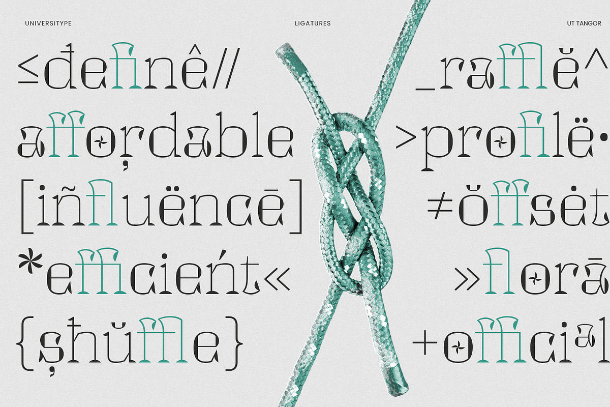 UT Tangor - A Decorative Serif, a Serif Font by Universitype (Photo 8 of 12)