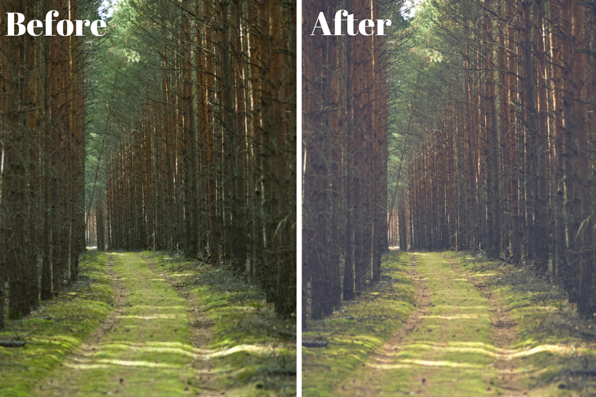 Kingdom Lightroom Preset preview 3