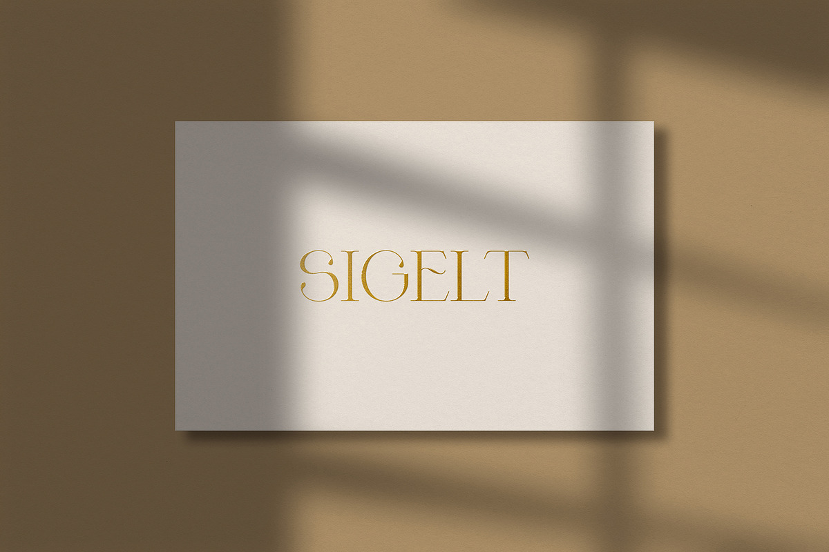Business card template & mockups, a Business Card Template by Sigelt (Photo 4 of 4)