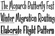 Whipsnapper Extra Condensed Family, a Font by Pink Broccoli (Thumbnail 2 of 3)