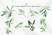 Watercolor Olive Branch Graphic Set, a Food Illustration by In the clouds (Thumbnail 7 of 7)