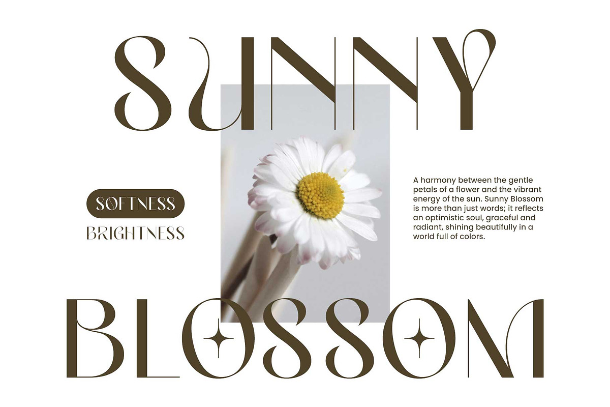 Elegant Sans - Miguela Verona, a Sans Serif Font by Novitype (Photo 7 of 12)