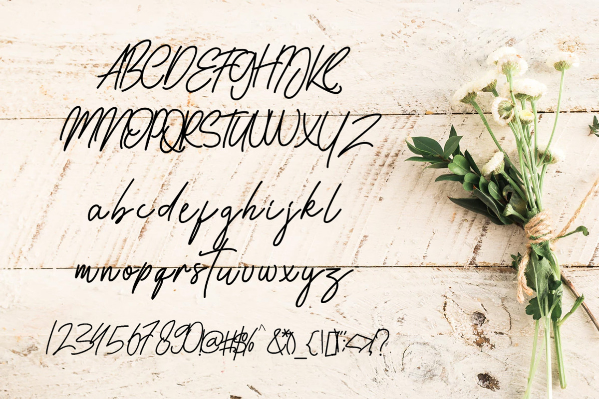 Kalisouth Signature Font preview 3