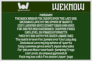 Vanguard Legend font, a Serif Font by weknow (Thumbnail 6 of 8)