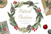 Natural Christmas set, a Decorative Illustration by marie dricot (Thumbnail 1 of 7)