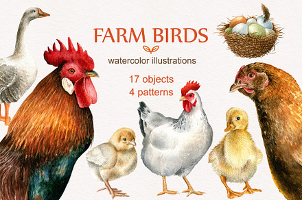 Farm birds.Watercolor set