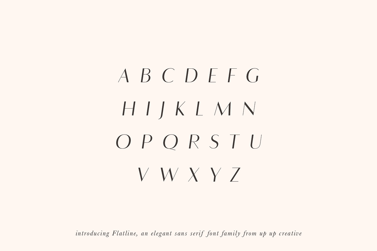 Flatline Sans Complete - 16 fonts preview 6