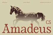CS Amadeus – Tuscan Font, a Serif Font by Craft Supply Co. (Thumbnail 1 of 8)