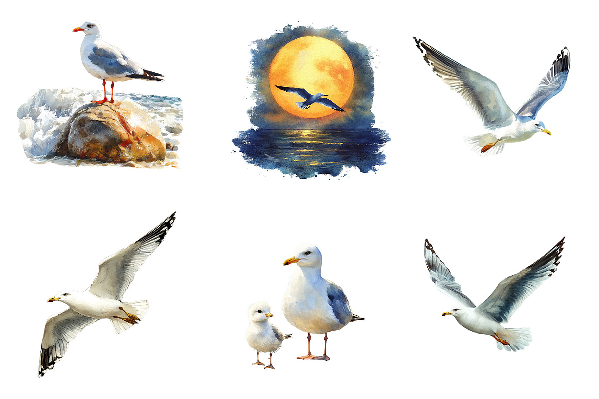 Watercolor Summer Seagulls Clipart, an Illustration by CreationArt (Photo 2 of 5)