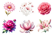 Watercolor Pink Flowers Clipart, an Illustration by Dream Creation (Thumbnail 4 of 6)