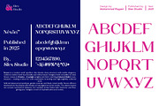Nexon, a Serif Font by Slex Studio (Thumbnail 9 of 10)