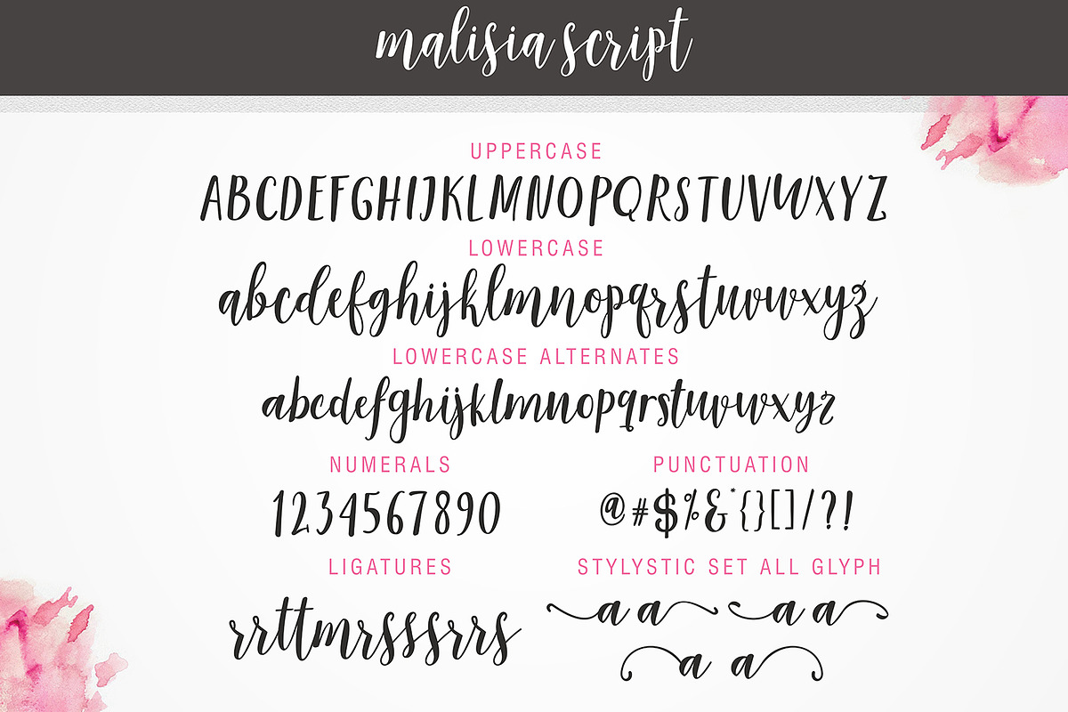 Malisia Script preview 7