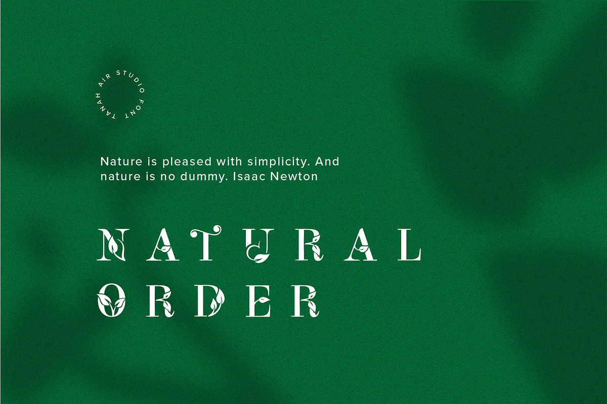 Leafy Logo Font preview 3