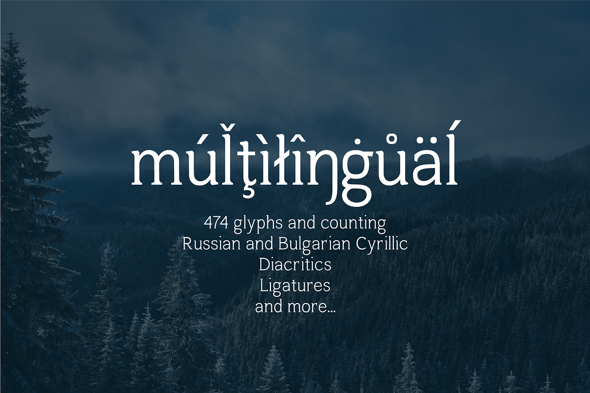 Harnet Serif preview 8