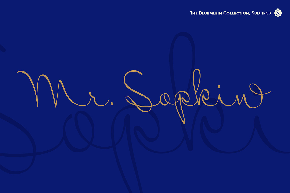 Mr SopkinPro
