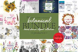 Hand Drawn Botanical Bundle