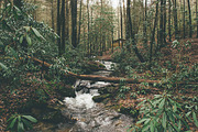 Nature Photo Pack, a Nature Photo by baker2512 (Thumbnail 7 of 20)