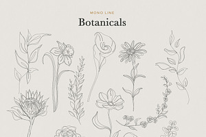 Minimalist Botanical Drawings