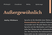 Slippery; Warm Serif, a Serif Font by Eko Bimantara (Thumbnail 7 of 11)