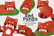 Red Panda Clipart, Hand Drawn, an Animal Illustration by Nattapohncha (Thumbnail 1 of 3)