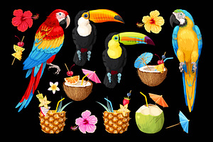 Macaw And Toucan Patterns