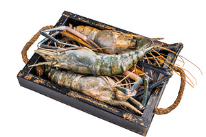 Closeup of raw rosenbergii shrimp prawn showcasing their vibrant, a Food & Drink Photo by composter-box@mail.ru