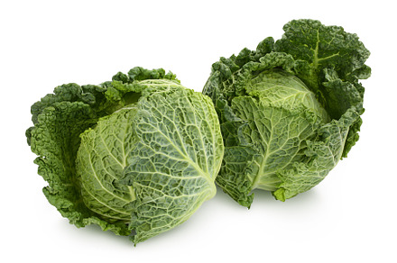 Savoy cabbage isolated on white, a Food & Drink Photo by NataPhoto
