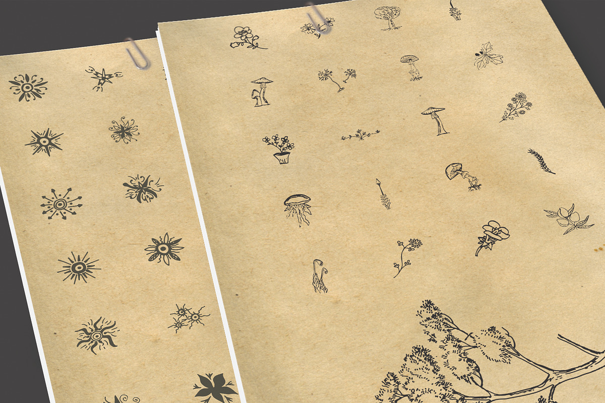 150+ Hand Drawn Nature Sketches, an Illustration by Imagine Design (Photo 4 of 5)