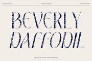 CS Belova Stamp, a Serif Font by Craft Supply Co. (Thumbnail 4 of 8)