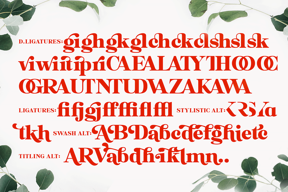 Felicity Serif Typeface, a Serif Font by Fenotype