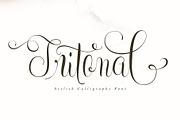 Tritonal, a Script Font by Papermode Co. (Thumbnail 1 of 15)