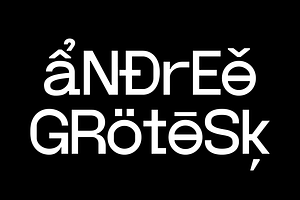 Andree Grotesk Regular, a Sans Serif Font by Nguyen Type