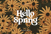 Regards - Modern Retro Serif, a Serif Font by Sensatype (Thumbnail 3 of 23)