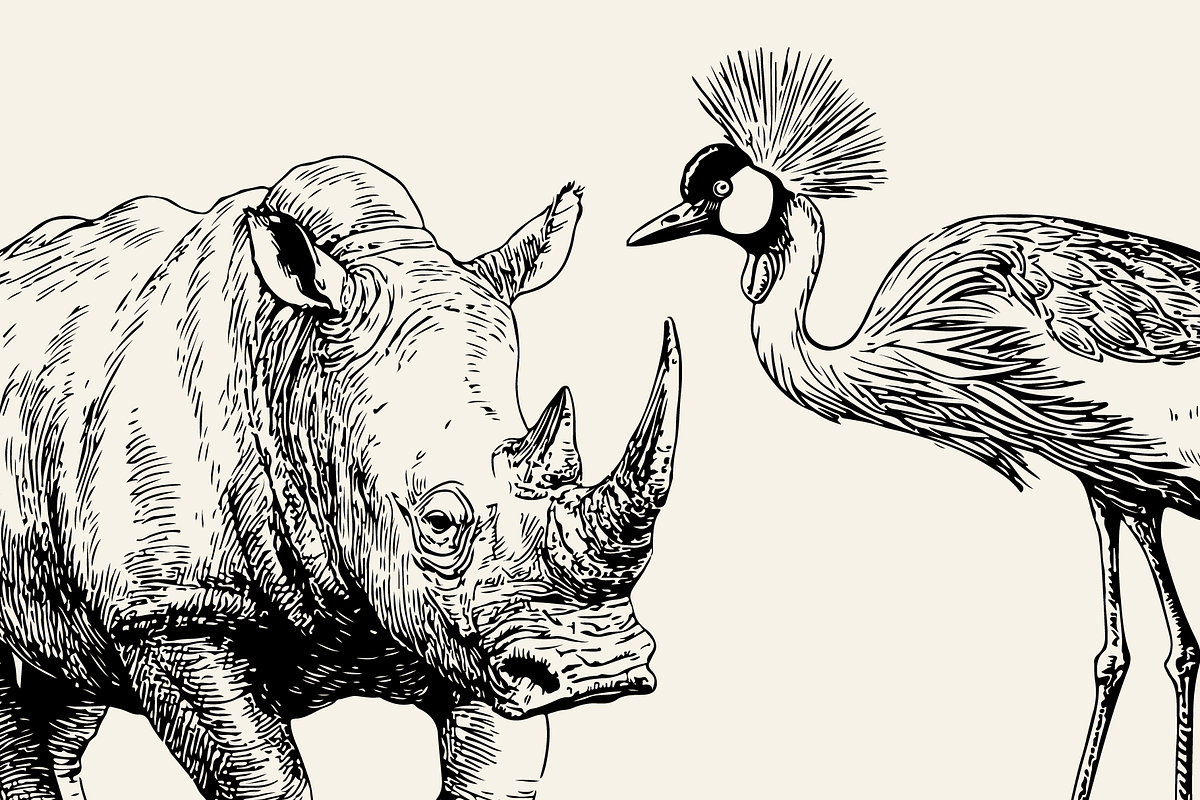 60 Wildlife Animal Illustrations, an Animal Illustration by Vectorian (Photo 5 of 6)