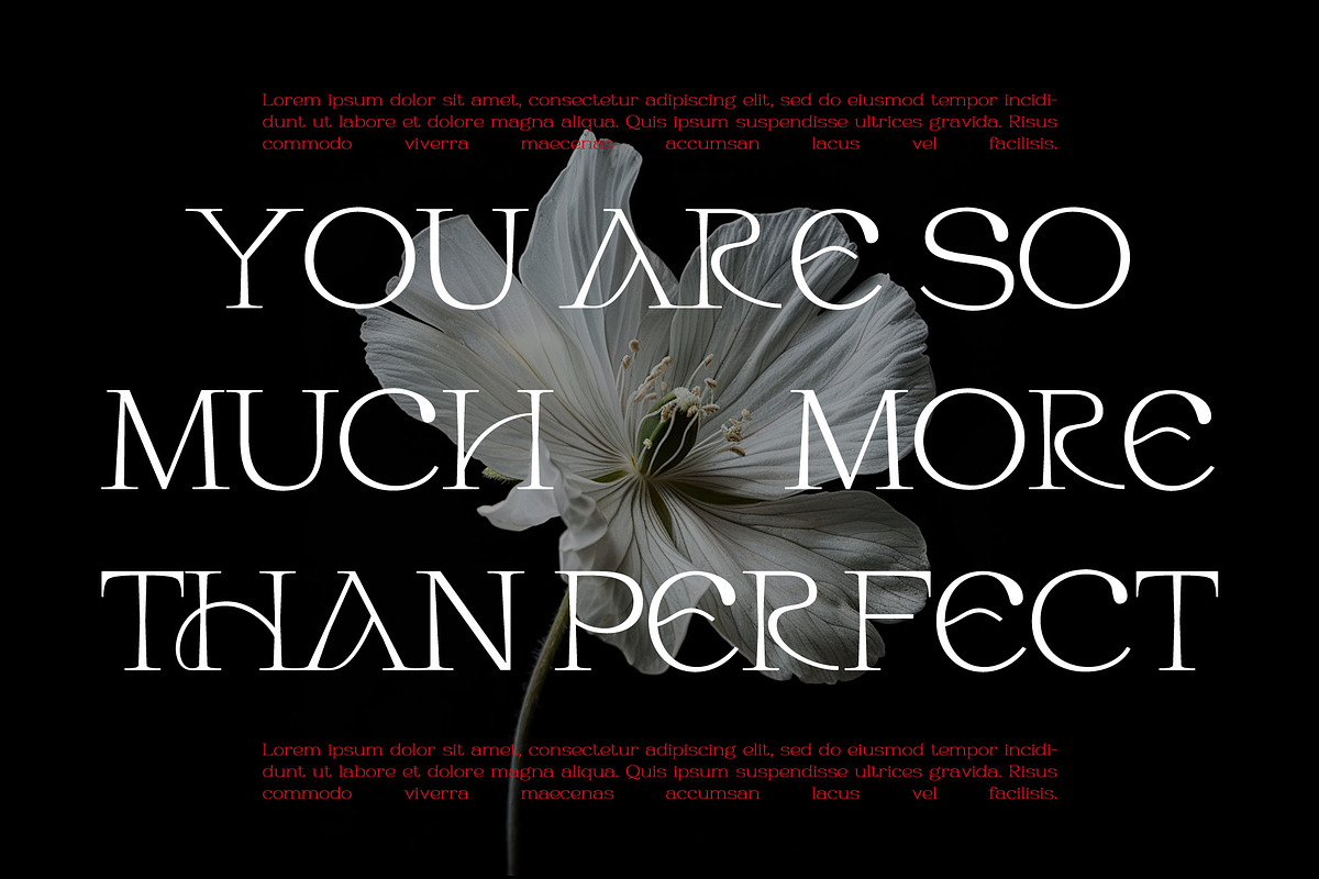 Habarac | Modern Elegant Serif Font, a Serif Font by Typoraith Co (Photo 11 of 15)