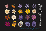 Pressed Flowers Floral Collage Kit, an Object Graphic by Tara Leigh Designs (Thumbnail 3 of 6)