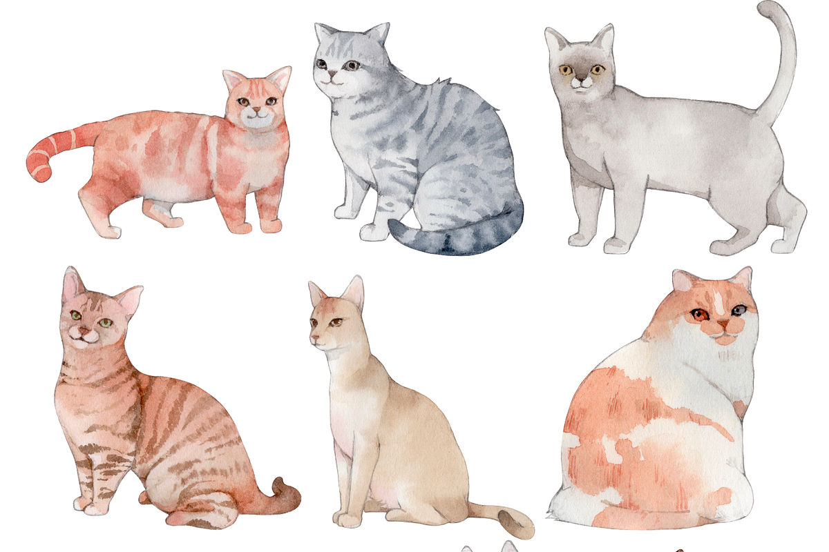50 Hand-drawn Watercolor Cats, an Animal Illustration by ArtbyHien (Photo 4 of 7)