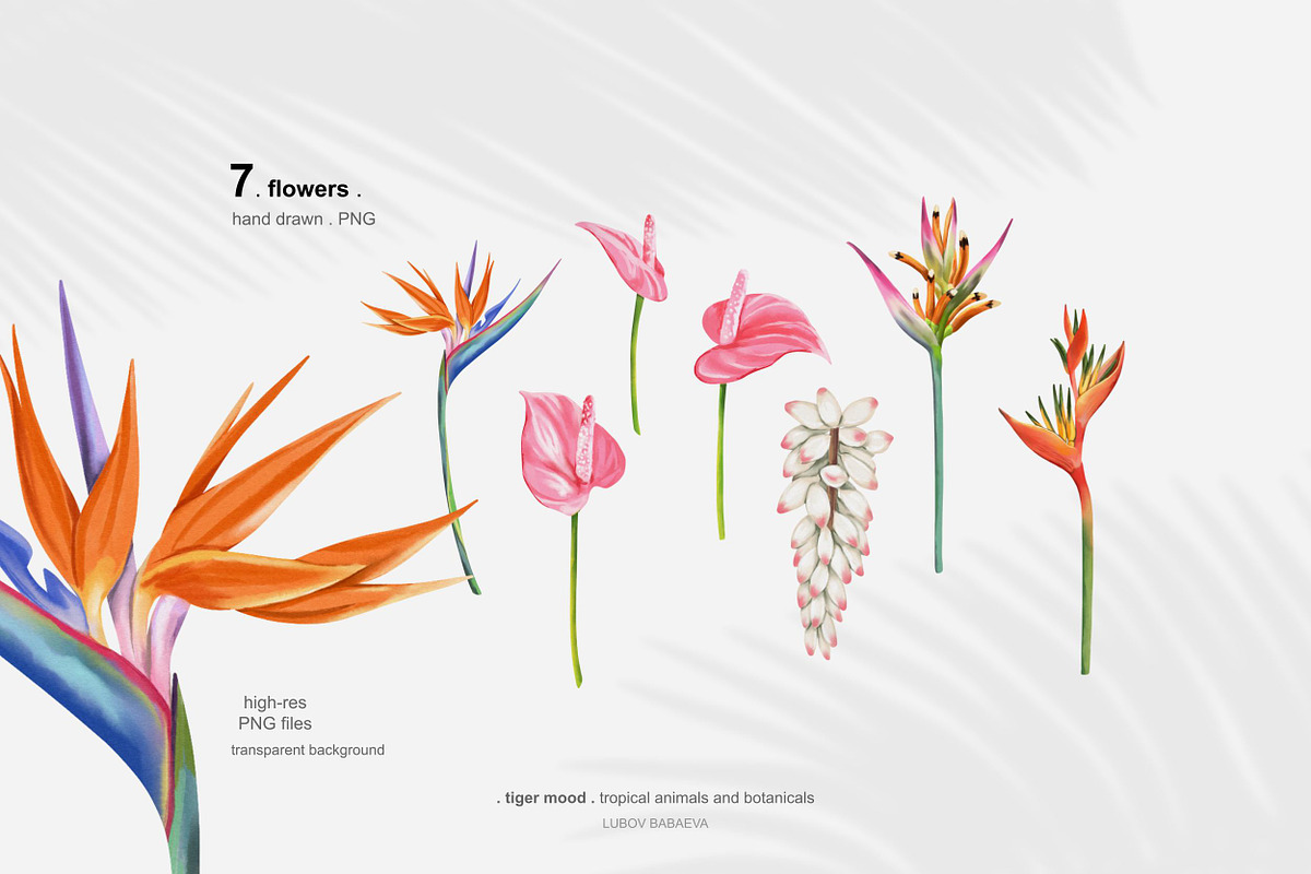 Tropical tiger, animals, leaves, an Animal Illustration by ARTMIRU (Photo 4 of 14)