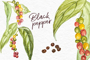 Star anise, Cinnamon, Cardamon, a Food Illustration by Ann Astro (Thumbnail 2 of 6)